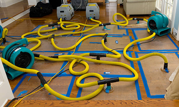 Professional Water Extraction technician working in Sedalia, CO